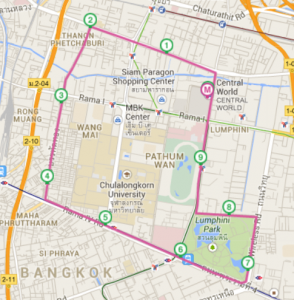 Central Group Mini Marathon - Course